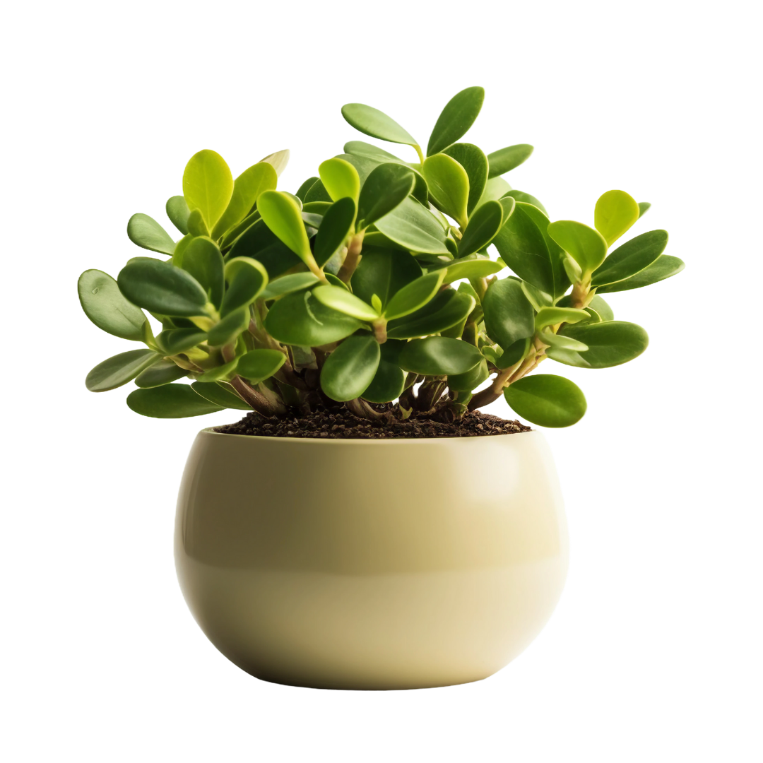 Add a heading (5) - Copy